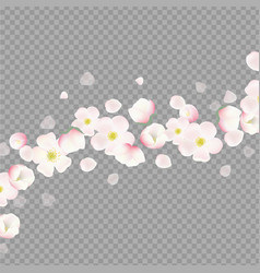 Apple Flowers Border With Transparent Background