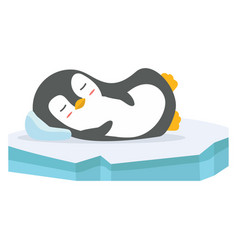 Cute Penguin Sleeping On Ice Floe