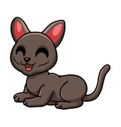 Cute Korat Cat Cartoon Sitting