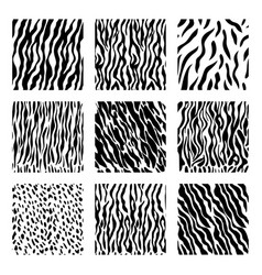 Seamless Animal Pattern Set Fur Mammal Collection