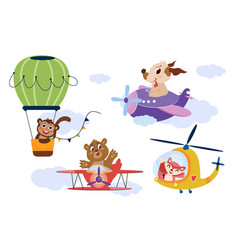 Cute Animals Driving Airplane Helicopter