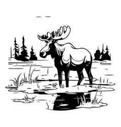 Moose On The Bank Of The River In Cartoon Style