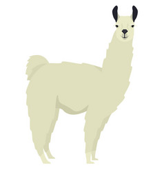 White Llama Lama Glama Flat