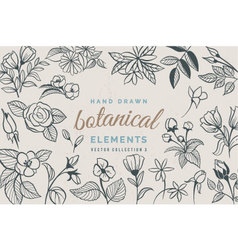 Hand drawn botanical elements Royalty Free Vector Image