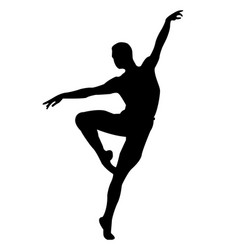 Silhouette Of A Male Dancer In Ballet Jump