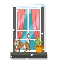 Cute Cat Walking On Narrow Window With Snow