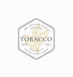 Tobacco Leaf Abstract Sign Symbol Or Logo