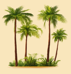 Palm Trees On White Background