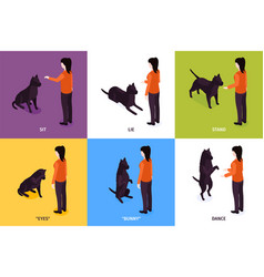 Dog Training Design Concept