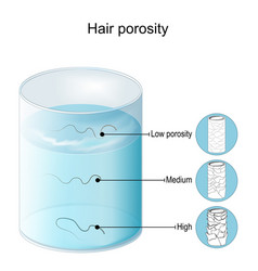 Hair Porosity Test