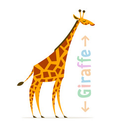 Cartoon Giraffe Standing In Side View