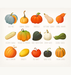 Big Variety Of Pumpkins With Names List Of Famous