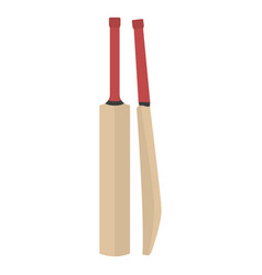 Cricket Sport Bat Equipment