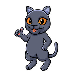 Cute British Shorthair Cat Cartoon