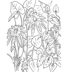 Tropical Leaves Coloring Pages Hand Drawn