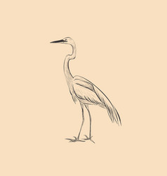 Heron Is A Sketch Hand