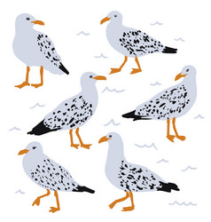 Seagull Cartoon Set