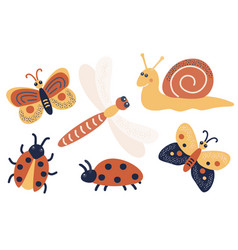 Insects