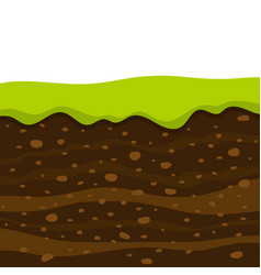 Soil Profile And Horizons Piece Land