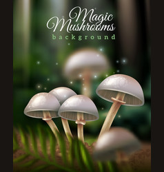 Magic Mushrooms Background