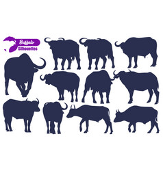 Animal Buffalo Silhouettes