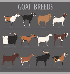 Goat breeds icon set animal farming flat design Vector Image