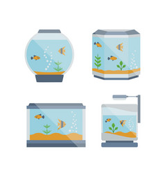 Cartoon Home Aquarium