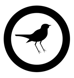 Nightingale Luscinia Bird Silhouette Icon