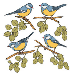 Small Tit Birds On Branches Set