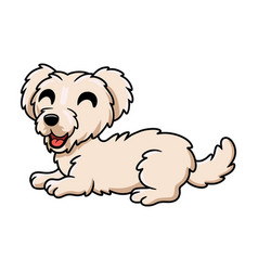 Cute Maltese Puppy Dog Cartoon Laying Down