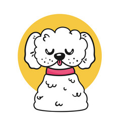 French Poodle With Necklace