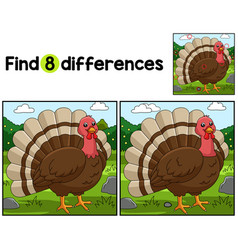 Turkey Farm Find The Differences