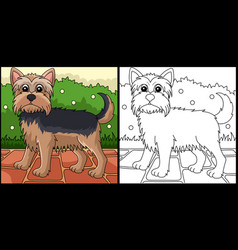 Yorkshire Terrier Dog Coloring Page