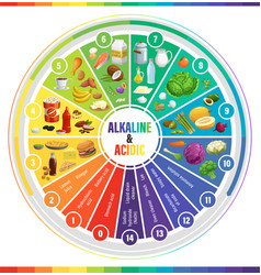 Round Ph Scale Indicators Chart Of Acids Balance