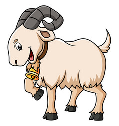 Strong Goat With The Thick Fur Is Stepping