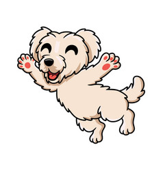 Cute Maltese Puppy Dog Cartoon