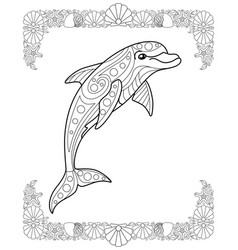 Bottlenose Dolphin Sea Animal