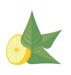 Lemon Fruit And Leafs