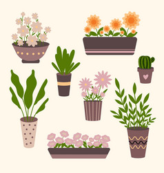 House Or Outdoor Flowers In Pots Set