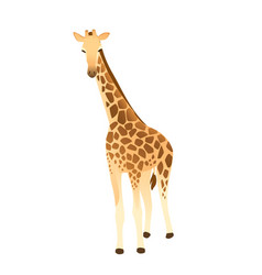 Mature Giraffe African Animal With Long Neck