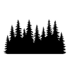 Fir Trees Silhouettes Coniferous Spruce