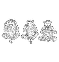 Three Wise Monkeys Not See Hear Speak