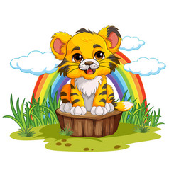 Baby Tiger In Sitting Pose With Rainbow Background