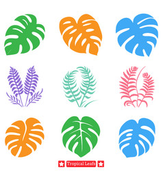 Exotic Foliage Vibrant Tropical Leaf Silhouettes