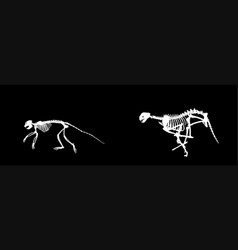 Cheetah Skeleton Chase Monkey Silhouette