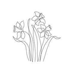 Narcissus Flower In Continuous Line Art Drawing