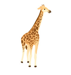 Mature Giraffe African Animal With Long Neck