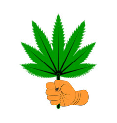 Strong Hand Holding A Cannabis Leaf