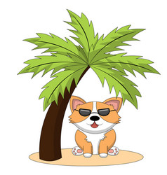 Cute Corgi Dog On The Beach Under A Palm Tree