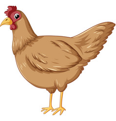 A Chicken In Cartoon Style